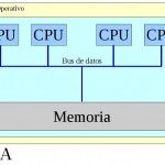 NUMA, ese gran desconocido