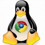 Chrome usará Gtk+, polémica abierta