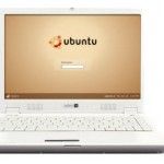 ¿Linux victorioso en netbooks?