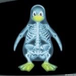 “Linux no es Software Libre”