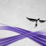 Gentoo: edición especial décimo aniversario