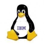 Ubuntu & IBM Client for Smart Works