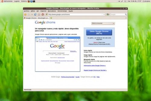 Google Chrome Linux 1