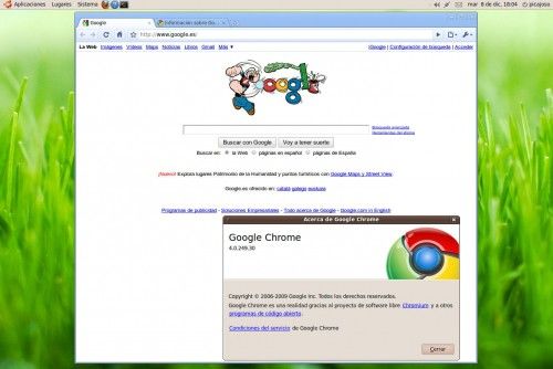 Google Chrome Linux 7