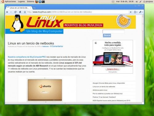 Google Chrome Linux 8