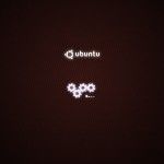 7 temas para personalizar xsplash