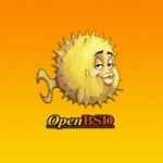 OpenBSD no es tan seguro