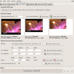 Ripea tus DVDs en Linux