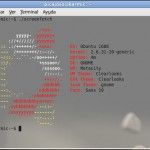 ScreenFetch, información del sistema en modo ASCII