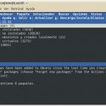 Adiós a aptitude en Ubuntu 10.10