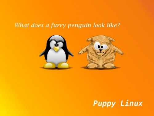 Puppy 500x375 Puppy