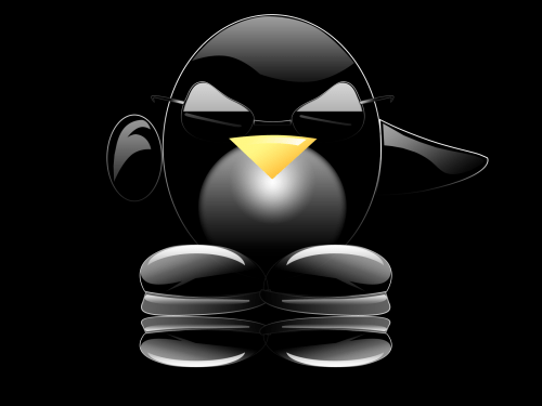 Tux Black Wallpaper by JackieW 500x375 Tux Black Wallpaper by JackieW