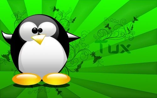 Tux Wallpaper by Orange Gimper 500x312 Tux Wallpaper by Orange Gimper