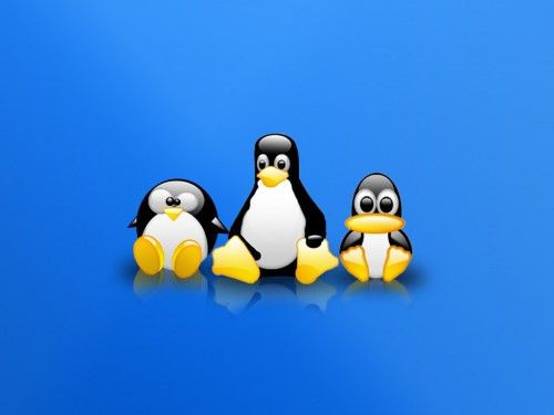 Tux  S WP by z dark 500x375 Tux  S WP by z dark