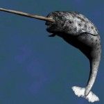 Ubuntu 11.04 se llamará ‘Natty Narwhal’