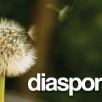 Diaspora, la alternativa Open Source a Facebook, ya disponible en forma de código fuente