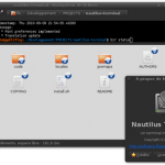 Una terminal dentro de Nautilus