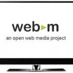 La FSF se une a Google en el impulso de VP8/WebM y en su rechazo a H.264
