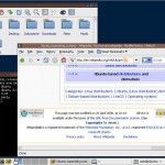 Fluxbox 1.3 disponible