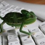 Más openSUSE con Tumbleweed y Evergreen