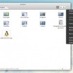 ElementaryOS-menu-propio ElementaryOS menu propio 150x150 Elementary OS, el análisis
