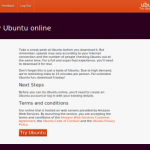 Prueba Ubuntu 11.04 en el navegador