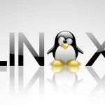 The Linux Foundation comienza a celebrar el 20 aniversario del nacimiento del sistema operativo GNU/Linux
