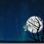 KDE 4.6.3 en Fedora 15