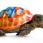 ¿Por qué Firefox es más lento en Linux que en Windows?