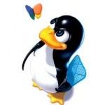 El “antipost”: ¿mejor cliente para MSN con soporte webcam?