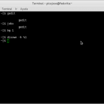 ¿Cómo cerrar la terminal y no ‘matar’ los programas que habíamos abierto en ella?