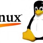 Se retrasa el lanzamiento de Linux 3.0