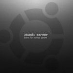 Ubuntu 11.0 Server llegará con soporte ARM