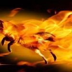 Mozilla planea ocultar los números de versión de Firefox