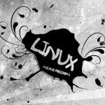 De Icaza y la realidad de Linux en el escritorio