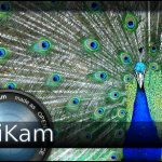 Foto a foto, digiKam 2.1.0