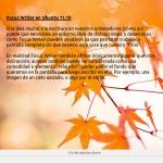 FocusWriter, ahora con soporte de ficheros ODT