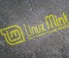 ¿Qué camino debe tomar Linux Mint?