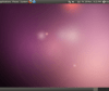 11 vulnerabilidades en el kernel de Ubuntu 10.04. Hay que actualizar.