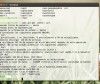 Cómo averiguar tu IP pública desde la terminal