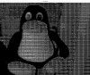 ASCII en tu webcam