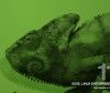 SUSE Linux Enterprise Server 11 SP2: Kernel 3.0, Btrfs, Contenedores, y HP
