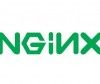 Nginx 1.2.0 estable, disponible