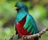 Ubuntu 12.10 Quantal Quetzal: adiós al marrón en Ubuntu