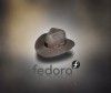 Fedora 17 y Mageia 2 sufren nuevos retrasos