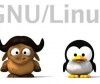 Lo que más valoráis de GNU/Linux es… (Resultados de la encuesta)