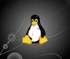 Estudio sobre las posibilidades de venta de Linux en tiendas