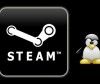 Valve anuncia oficialmente Steam para Ubuntu (y Linux en general)