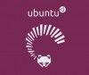 Ubuntu 13.04 beta y familia, listas para pruebas