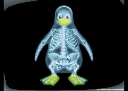 linux-pinguinito